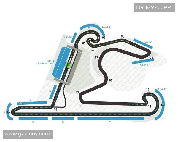 F1赛季关键赛道技术难点解析与驾驶策略优化分析