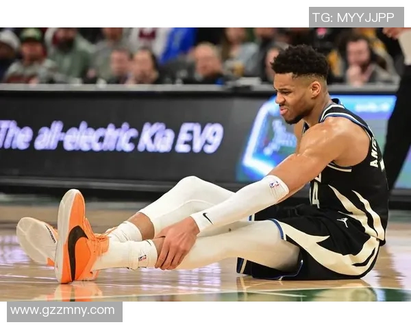 NBA球员职业生涯赛季伤病数据统计与趋势分析研究