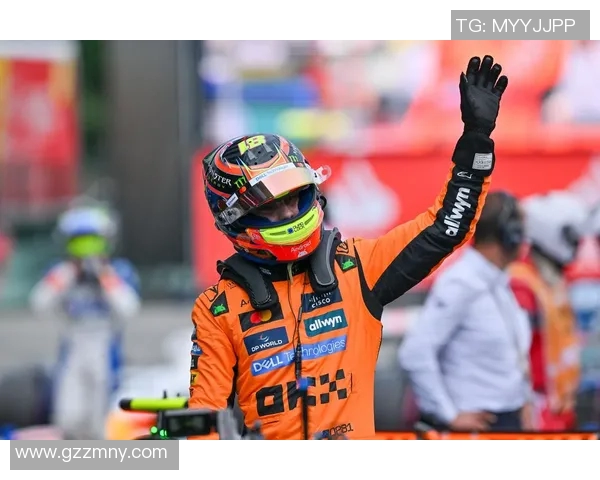 F1赛车技术创新及车队战略调整分析 F1赛车技术创新及车队战略调整分析